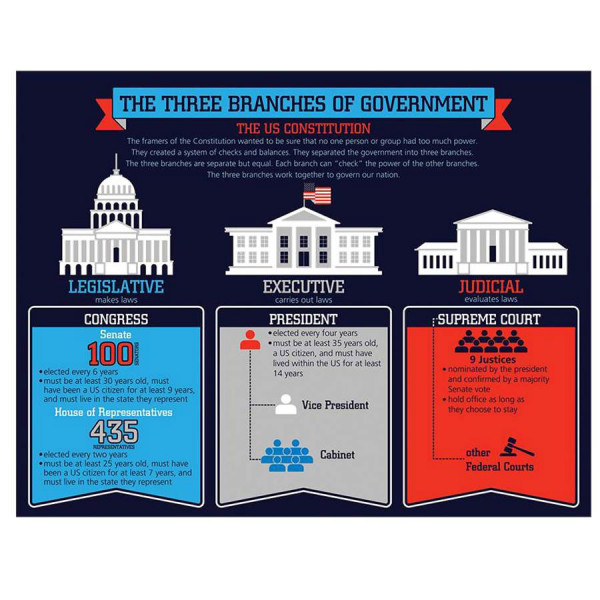 The Three Branches Of Government Chart Social Studies Posters
