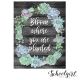 Schoolgirl Style Stylish Bloom Where Plant Poster