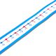 -20 to 20 Student Number Lines
