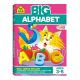 Big Alphabet Workbook