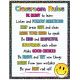 Brights 4Ever Classroom Rules Poster