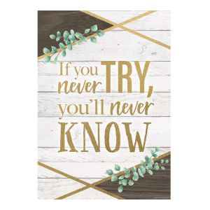 If You Never Try Eucalyptus Positive Poster